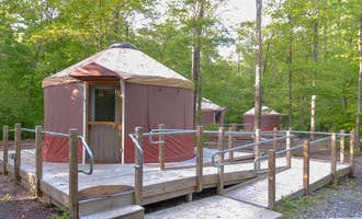 Camping near Lake Fairfax Campground: Little Bennett Campground, Clarksburg, Maryland