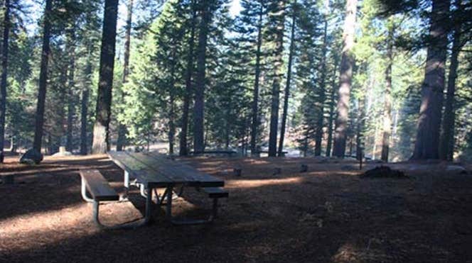 Camper-submitted photo at Meadowview near Stanislaus National Forest
