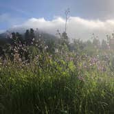 Review photo of Casini Ranch Family Campground by John G., July 11, 2019