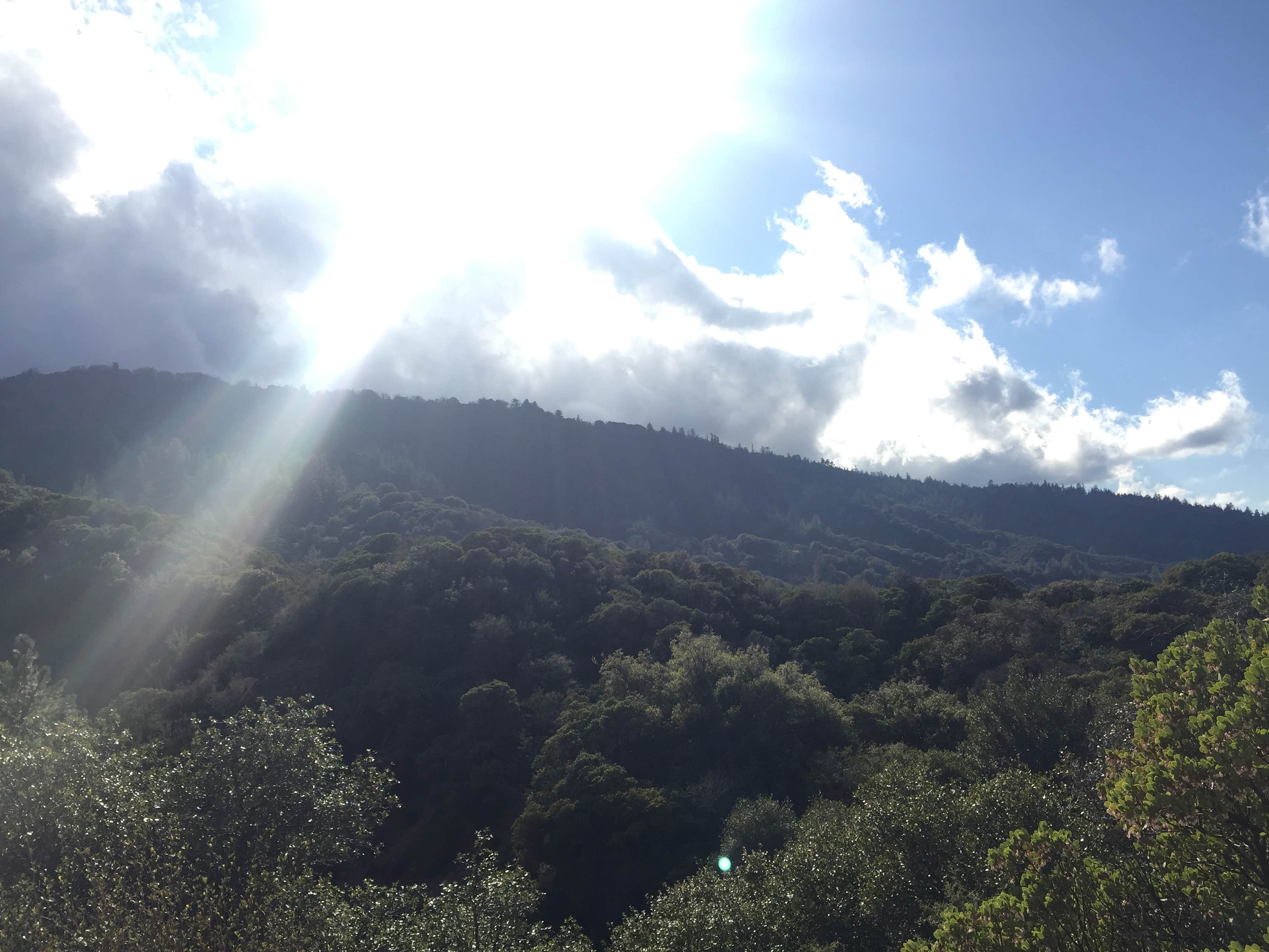 Camper-submitted photo at Upper Shake Campground - CLOSED DUE TO IMPROVEMENT PROJECT near Green Valley, CA