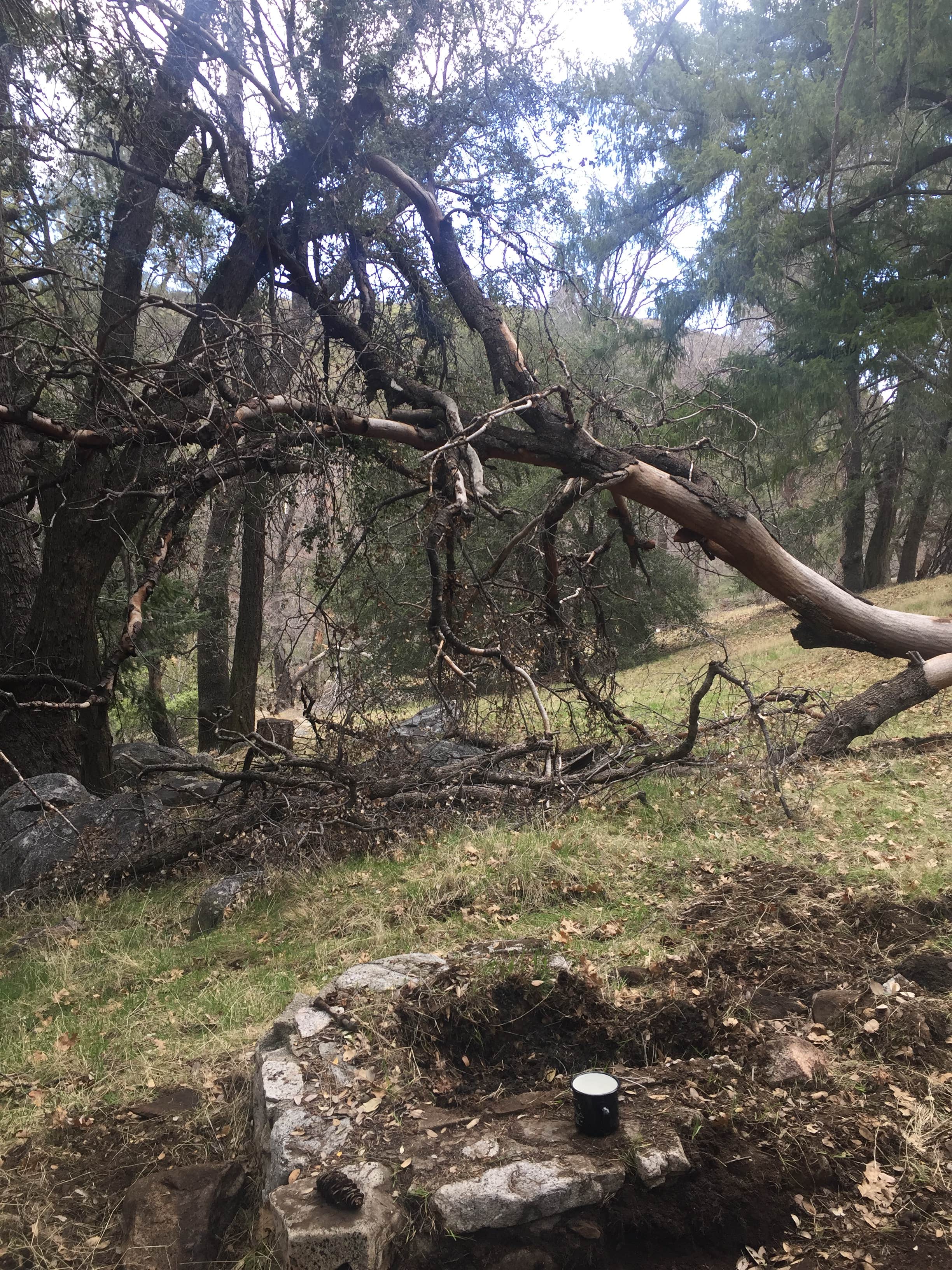 Camper-submitted photo at Upper Shake Campground - CLOSED DUE TO IMPROVEMENT PROJECT near Green Valley, CA