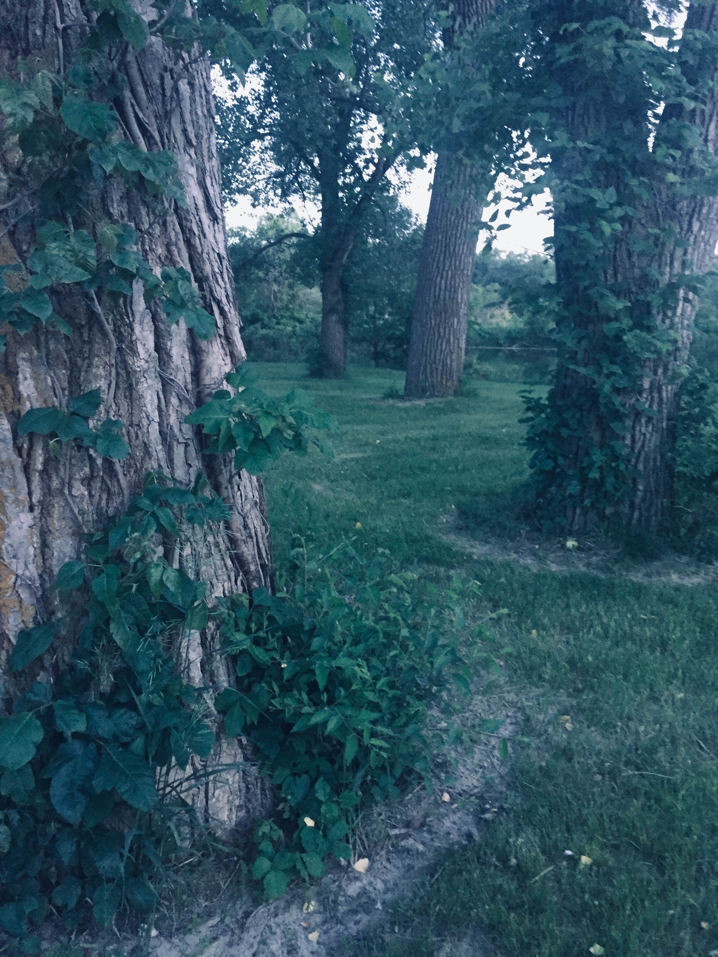 Camper-submitted photo at North Loup State Rec Area near St. Paul, NE
