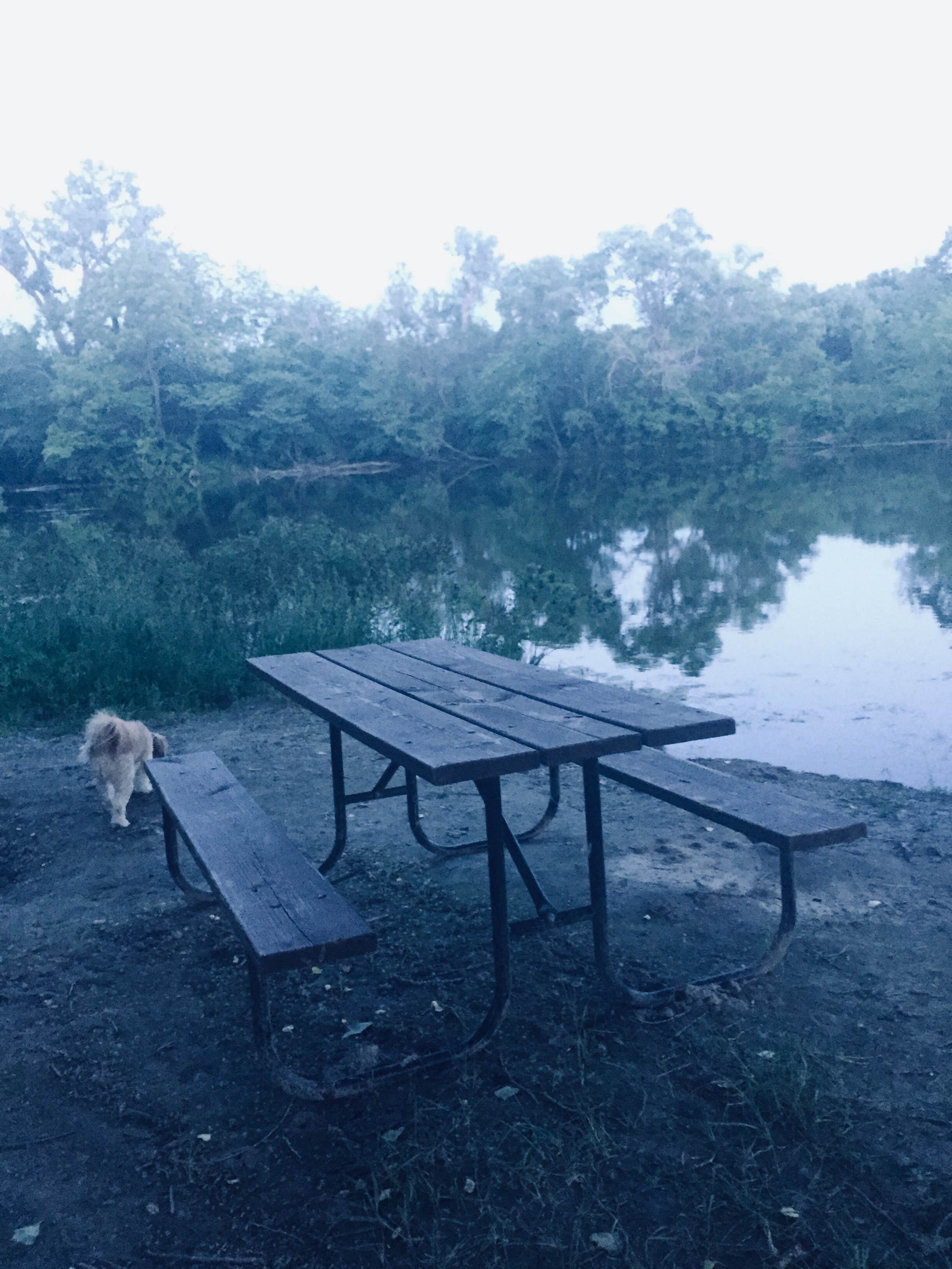 Jessica L.'s photo of camping with pets at North Loup State Rec Area in Nebraska