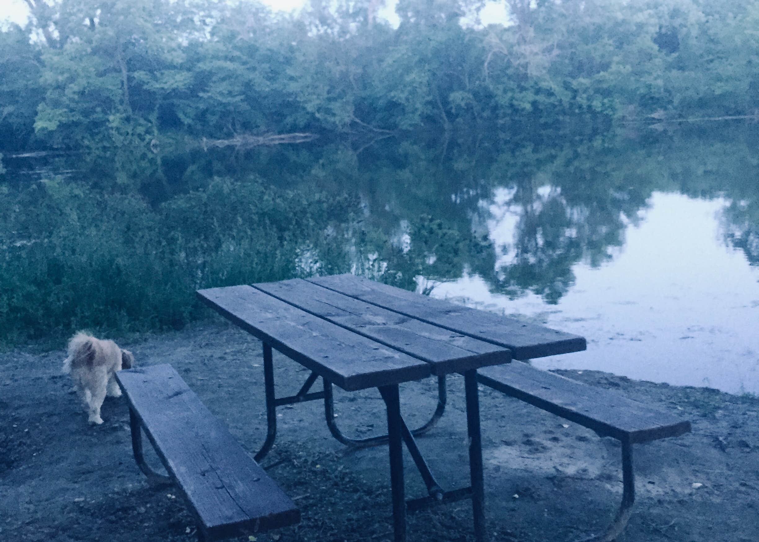 North Loup State Rec Area Camping The Dyrt