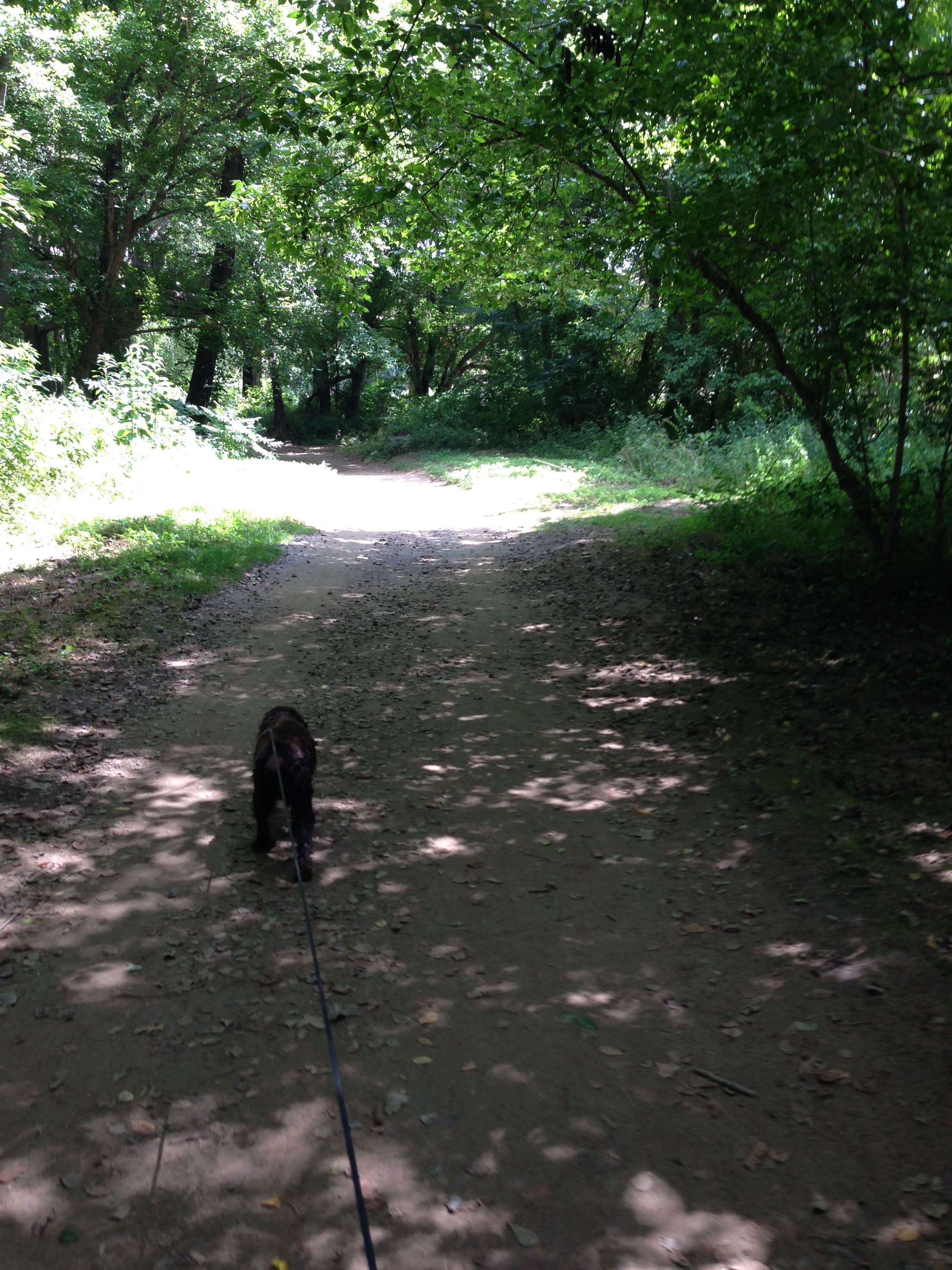Camper-submitted photo at Asheville's Bear Creek RV Park & Campground near Candler, NC
