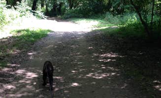Alicia C.'s photo of camping with pets at Asheville's Bear Creek RV Park & Campground near Swannanoa, NC