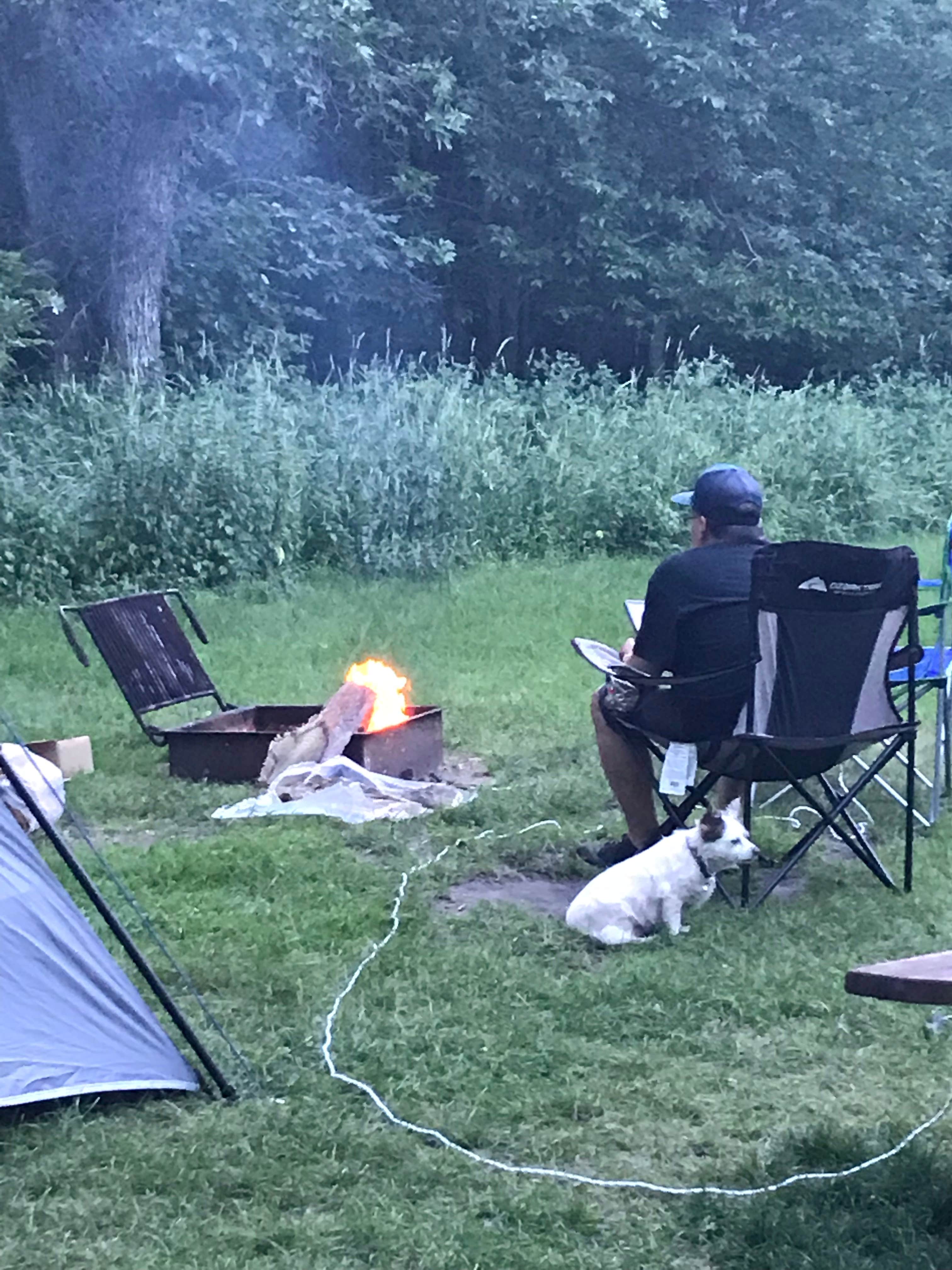 Camper submitted image from Grahams Island State Park Campground - 2
