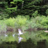 Review photo of Limekiln Lake Campground by Anna G., July 11, 2019