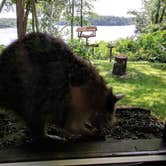 Review photo of Potato Creek State Park Campground by Anna G., July 11, 2019