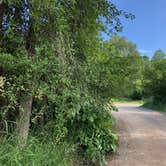 Review photo of Swinging Bridge Fishing Access Site - TEMPORARILY CLOSED by Art S., July 11, 2019