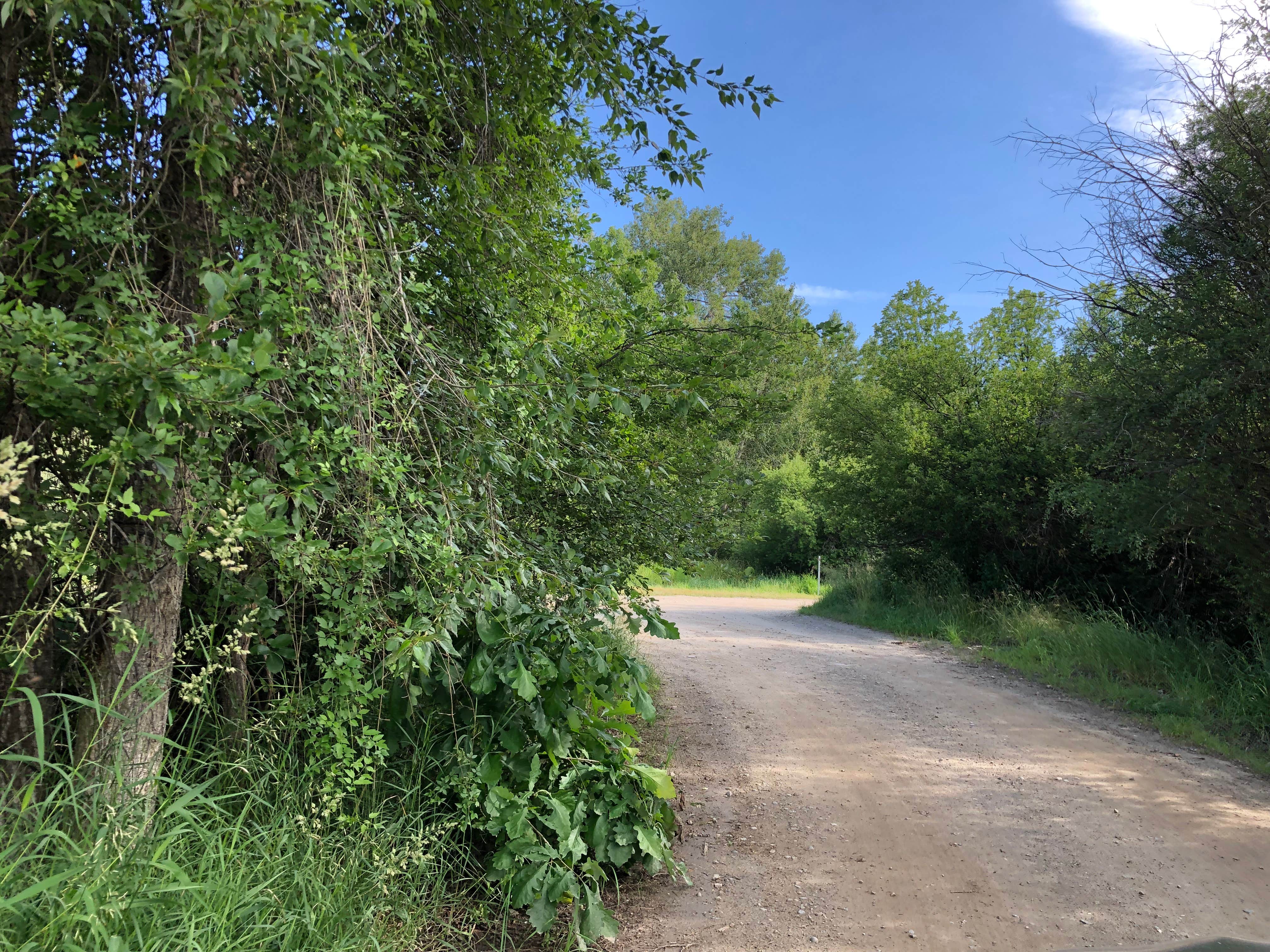 Camper submitted image from Swinging Bridge Fishing Access Site - TEMPORARILY CLOSED - 4