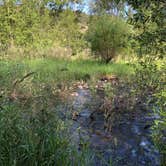 Review photo of Swinging Bridge Fishing Access Site - TEMPORARILY CLOSED by Art S., July 11, 2019