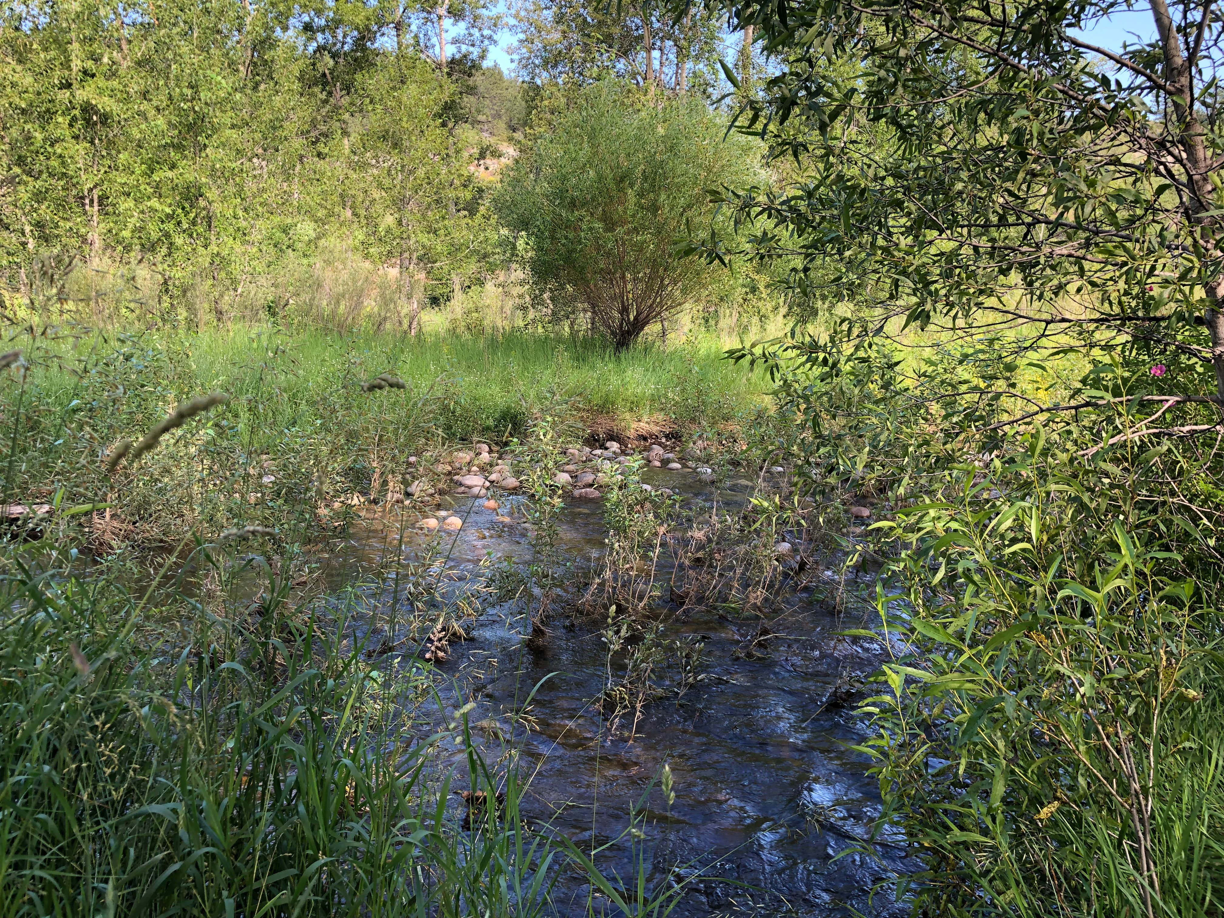 Camper submitted image from Swinging Bridge Fishing Access Site - TEMPORARILY CLOSED - 5