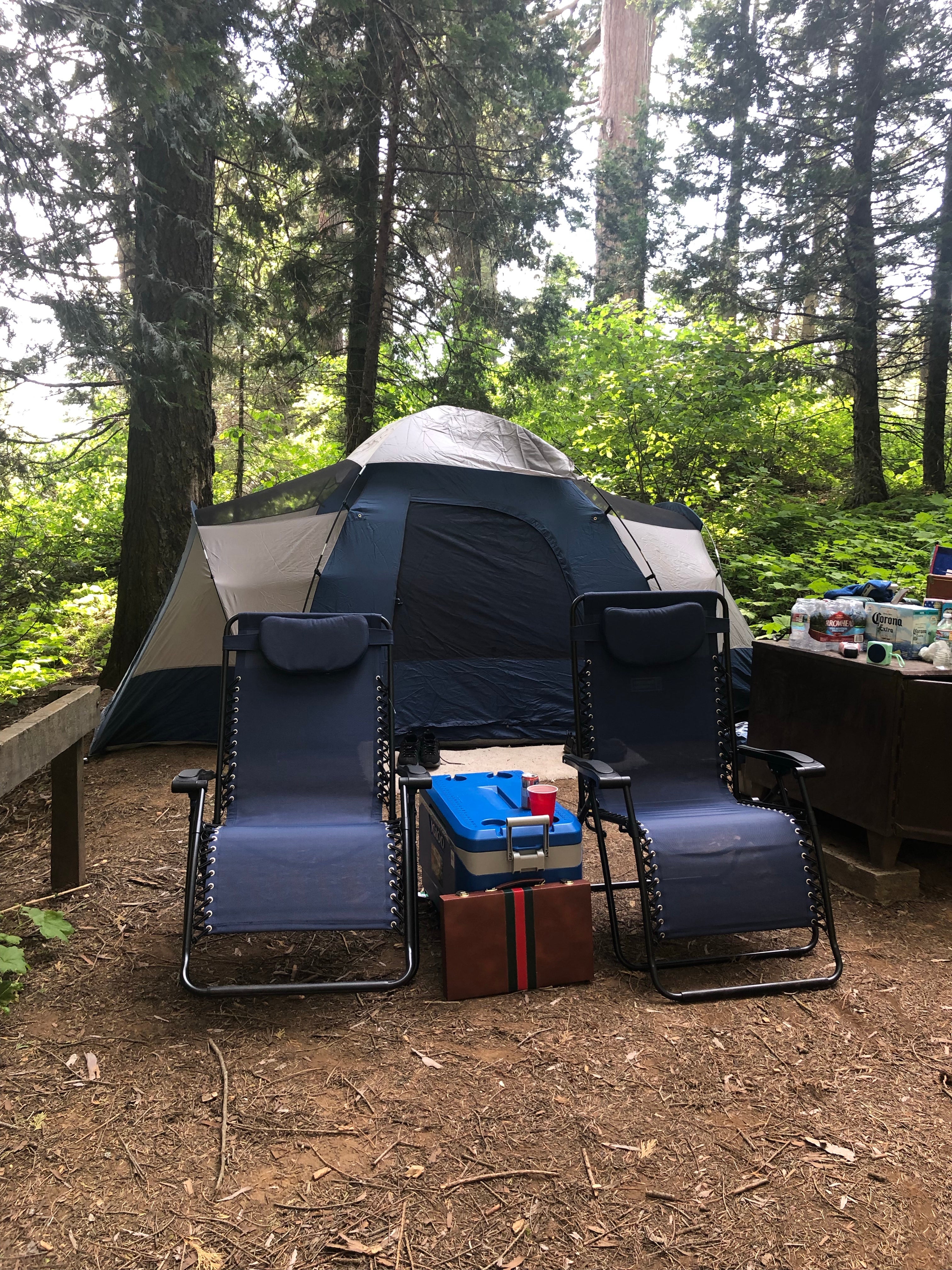 Camper submitted image from Hedrick Pond Campground - 5