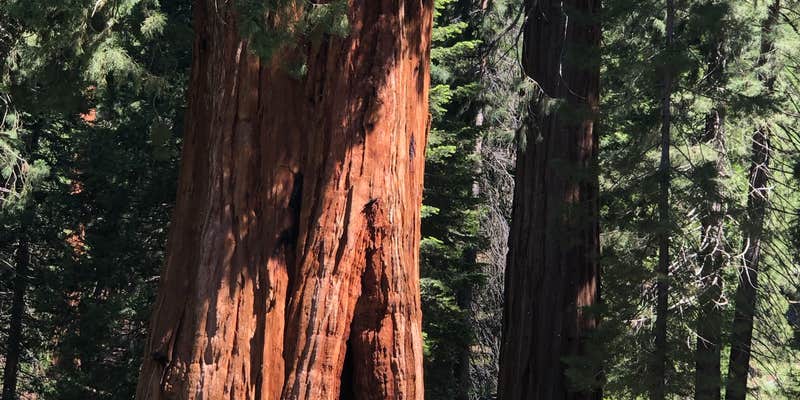 Camper submitted image from Hedrick Pond Campground
