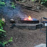 Review photo of Hedrick Pond Campground by Vicky  D., July 11, 2019