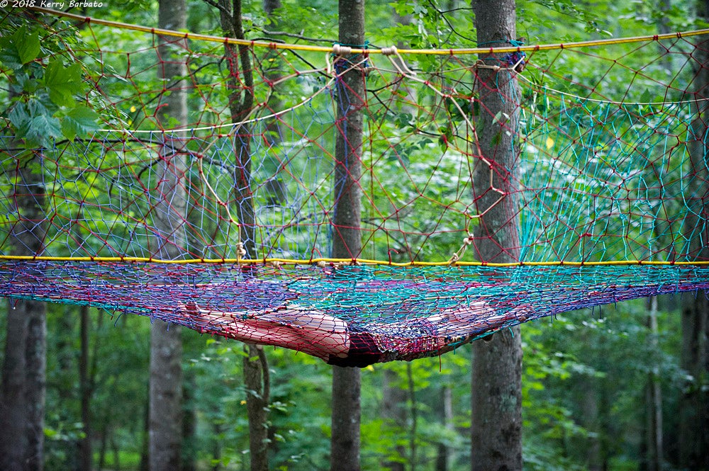 Tree Web