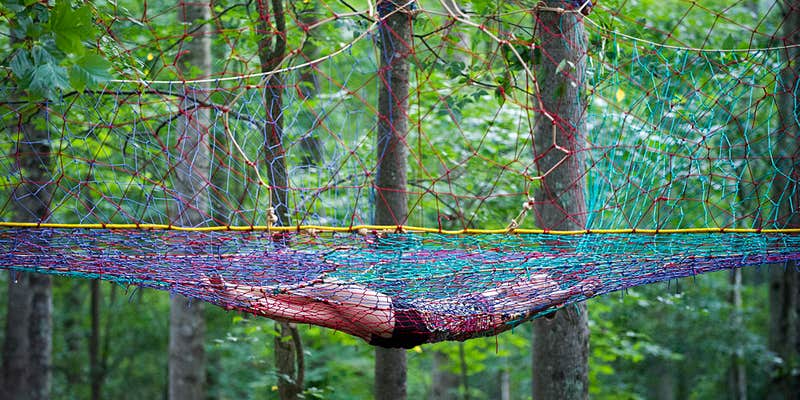 Camper submitted image from Happy Hollow Homestead