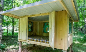 Kerry B.'s photo of tent camping at Happy Hollow Homestead near Birdseye, IN
