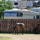 Review photo of Spruce Lake RV Park by Erin S., July 11, 2019