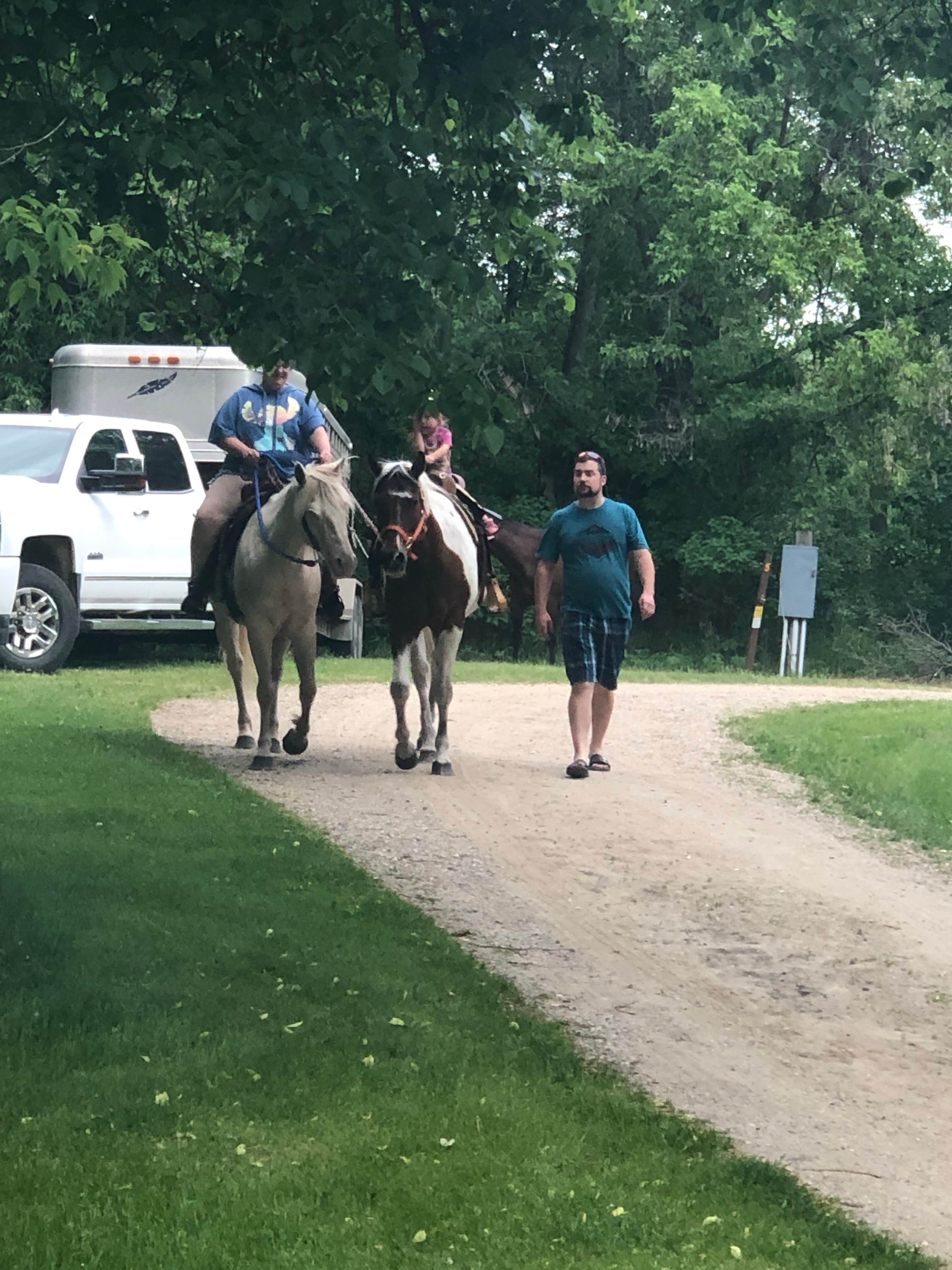Allison  K.'s photo of camping with a horse at Lake Carlos State Park Campground near Elrosa, MN