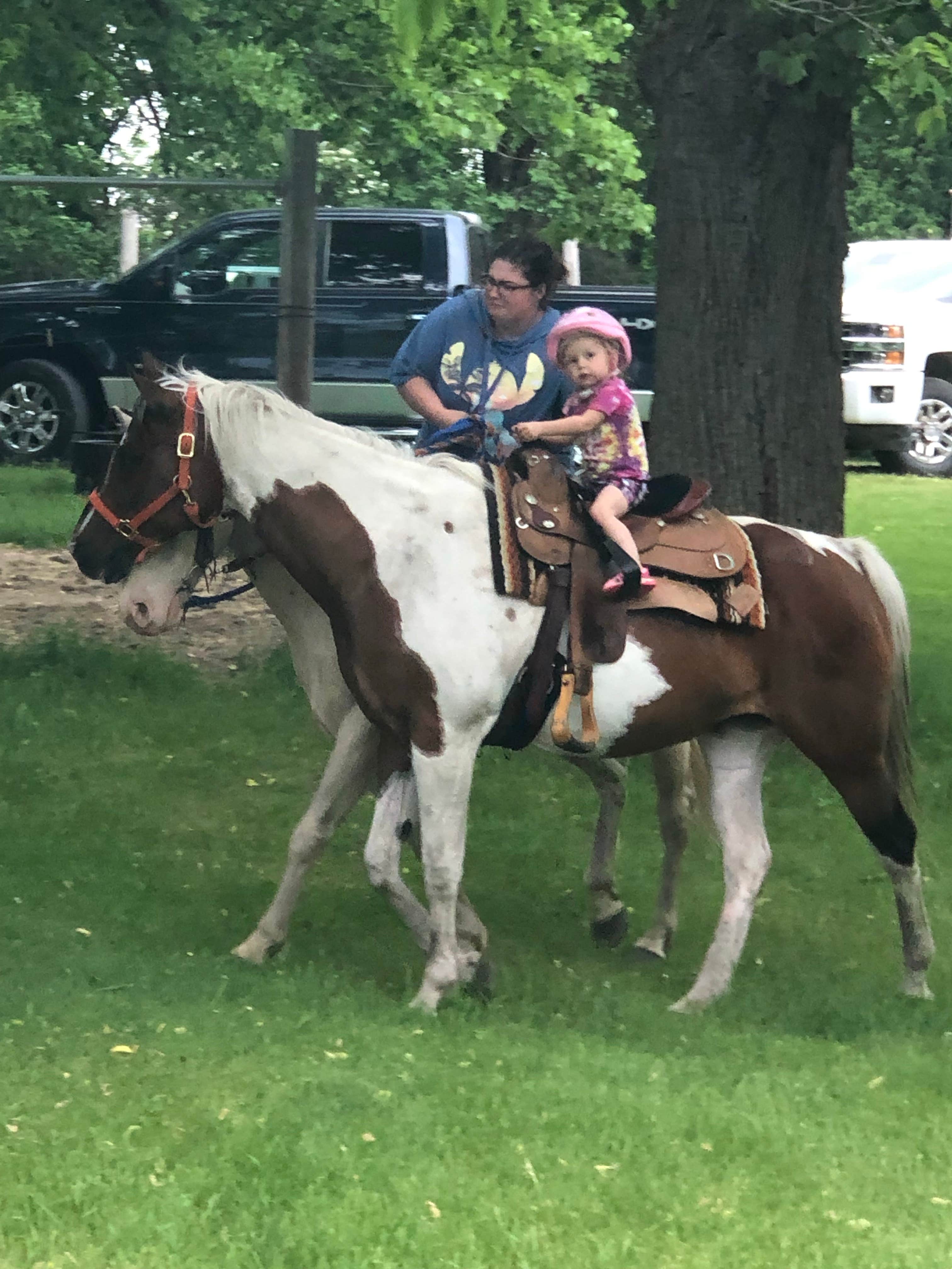 Allison  K.'s photo of camping with a horse at Lake Carlos State Park Campground near Wadena, MN