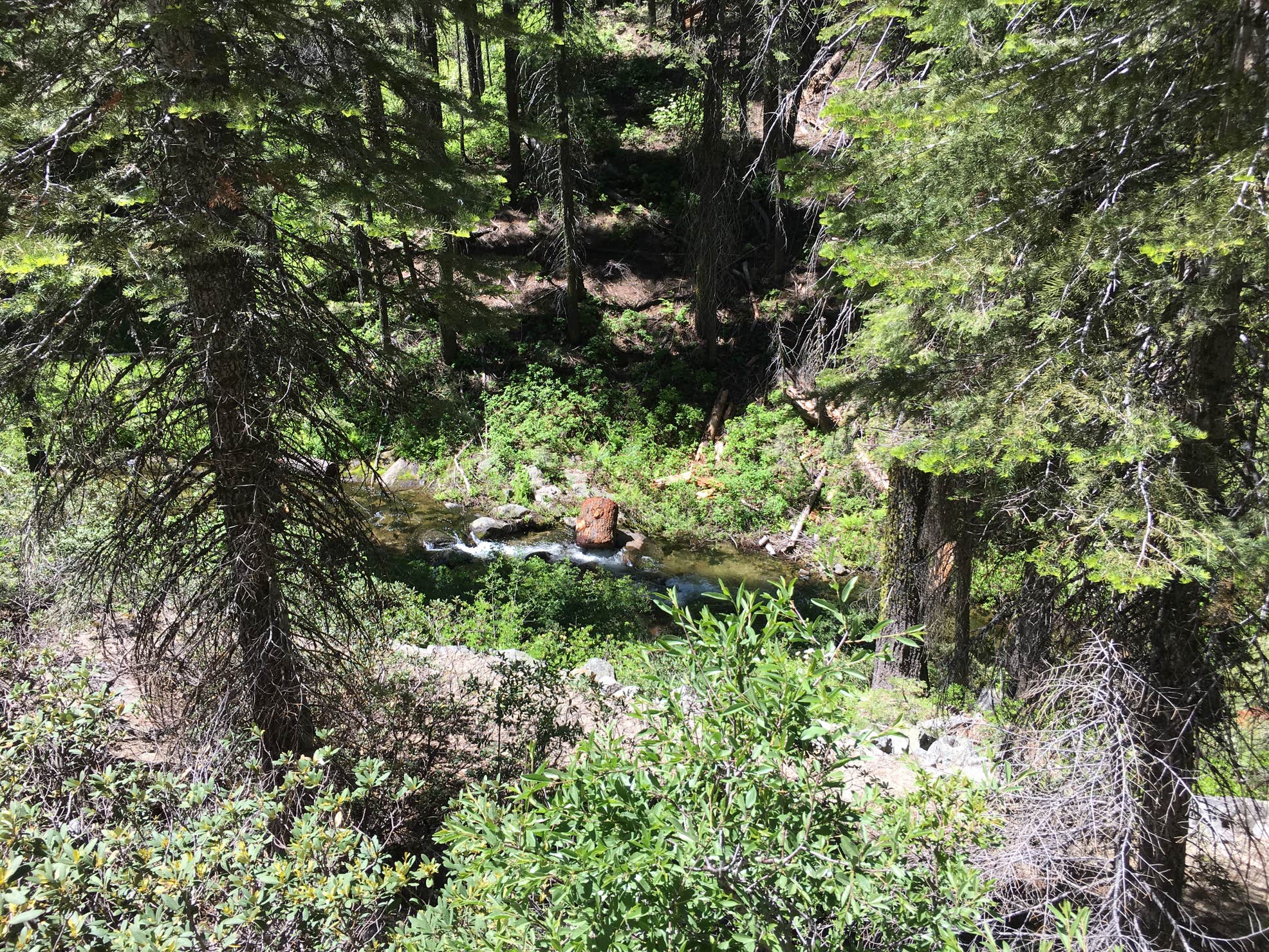 Big Sandy Campground | The Dyrt