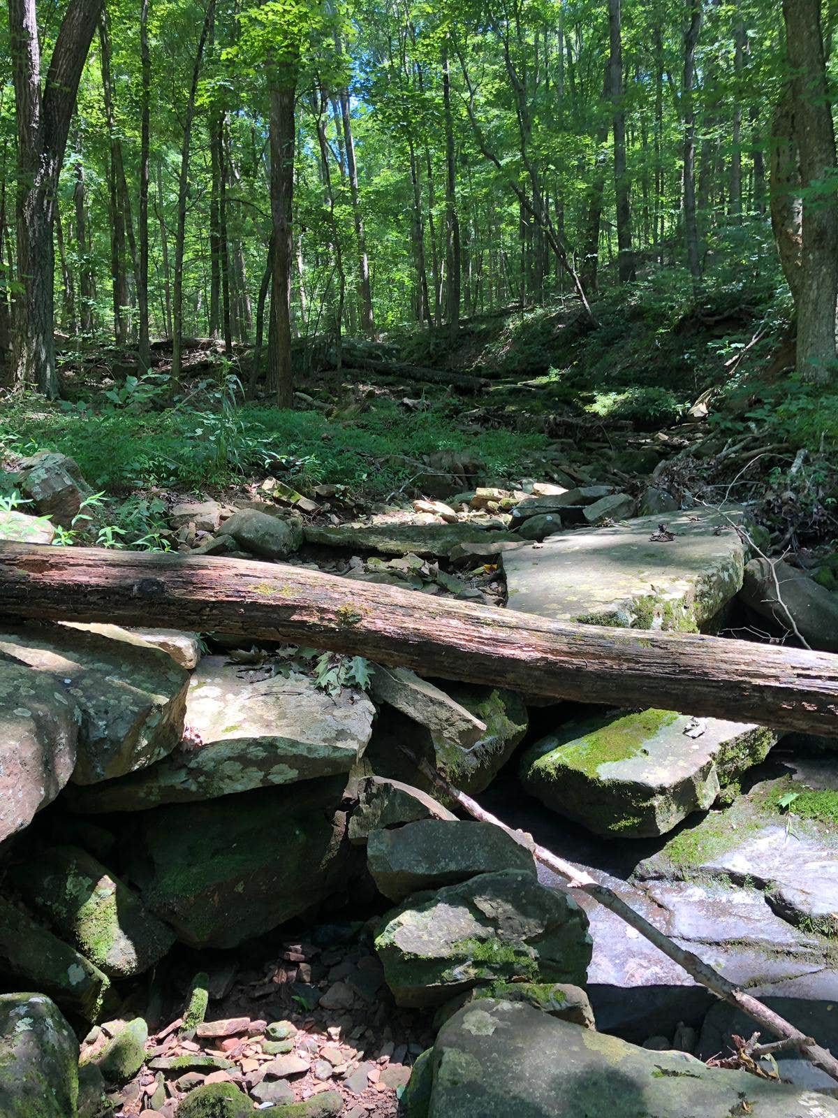 Camper-submitted photo at Redbud Campground at Bell Smith Springs in Illinois