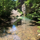 Review photo of Redbud Campground at Bell Smith Springs by Artem  I., July 11, 2019