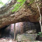 Review photo of Redbud Campground at Bell Smith Springs by Artem  I., July 11, 2019