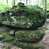 Review photo of Redbud Campground at Bell Smith Springs by Artem  I., July 11, 2019