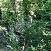 Review photo of Redbud Campground at Bell Smith Springs by Artem  I., July 11, 2019