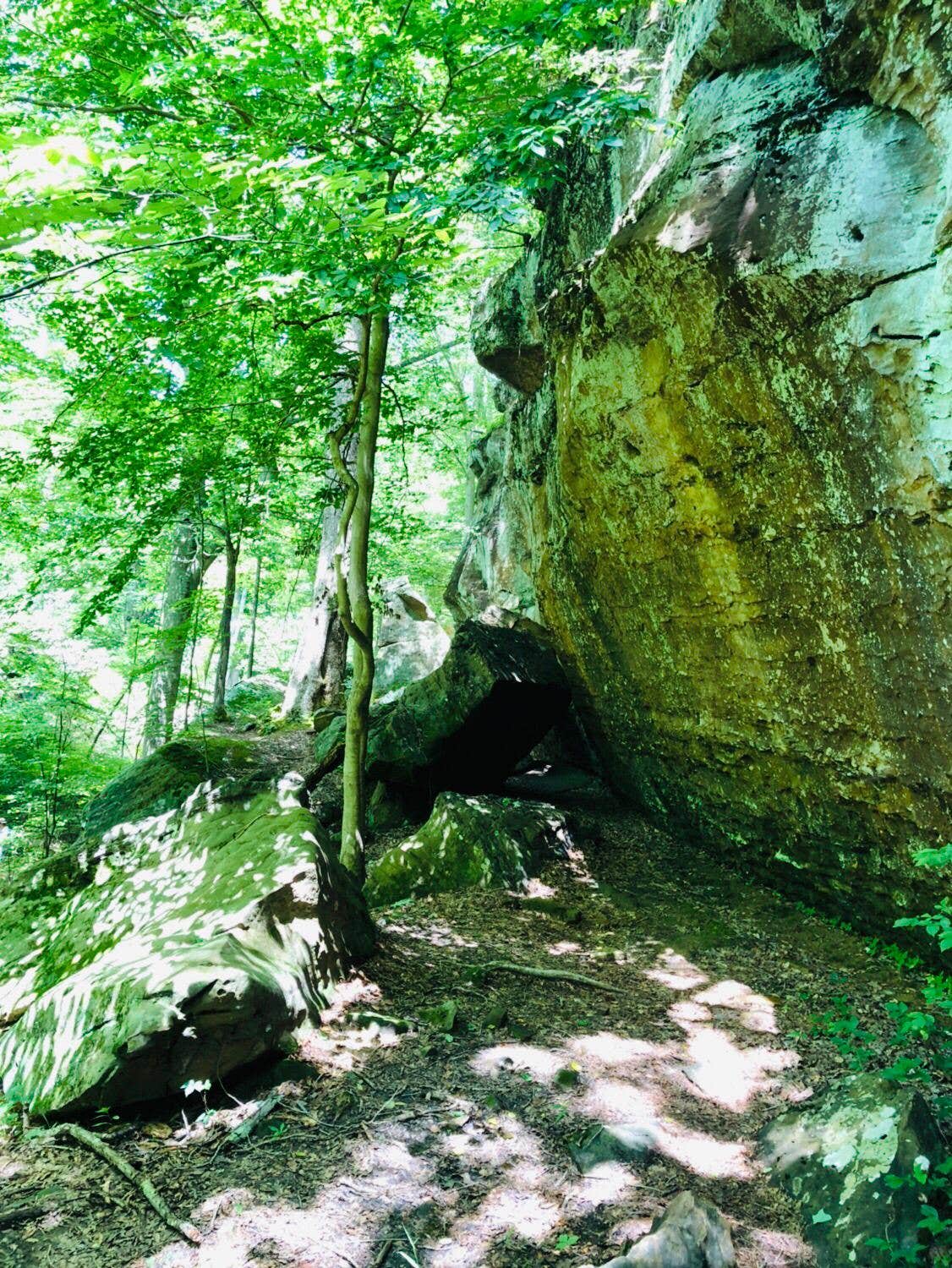 Camper-submitted photo at Redbud Campground at Bell Smith Springs in Illinois