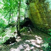 Review photo of Redbud Campground at Bell Smith Springs by Artem  I., July 11, 2019