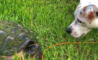 Dickie H.'s photo of camping with pets at Cookson Lake Campground near Munising, MI