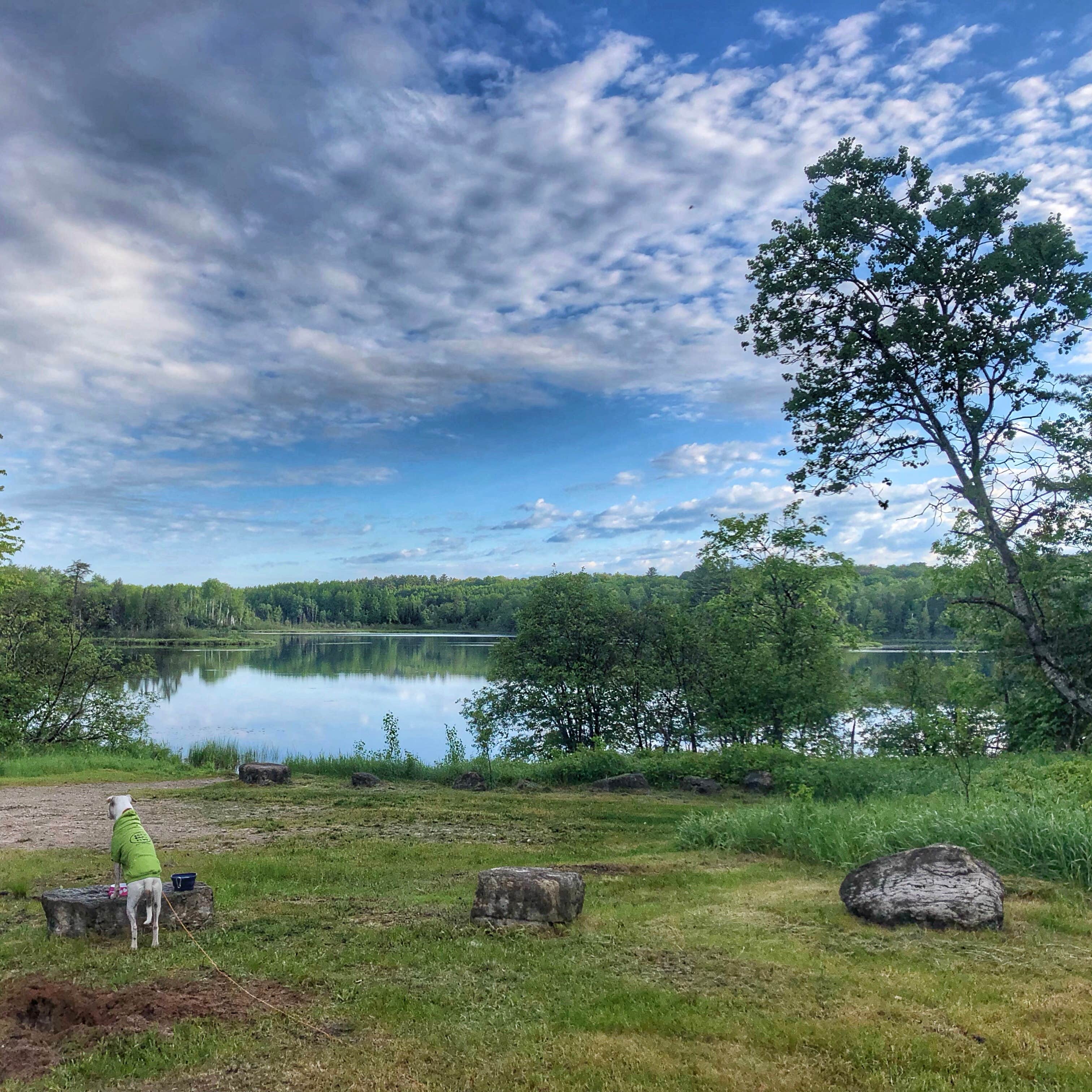 Camper submitted image from Cookson Lake Campground - 3