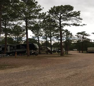 Camper-submitted photo from Colorado Campground