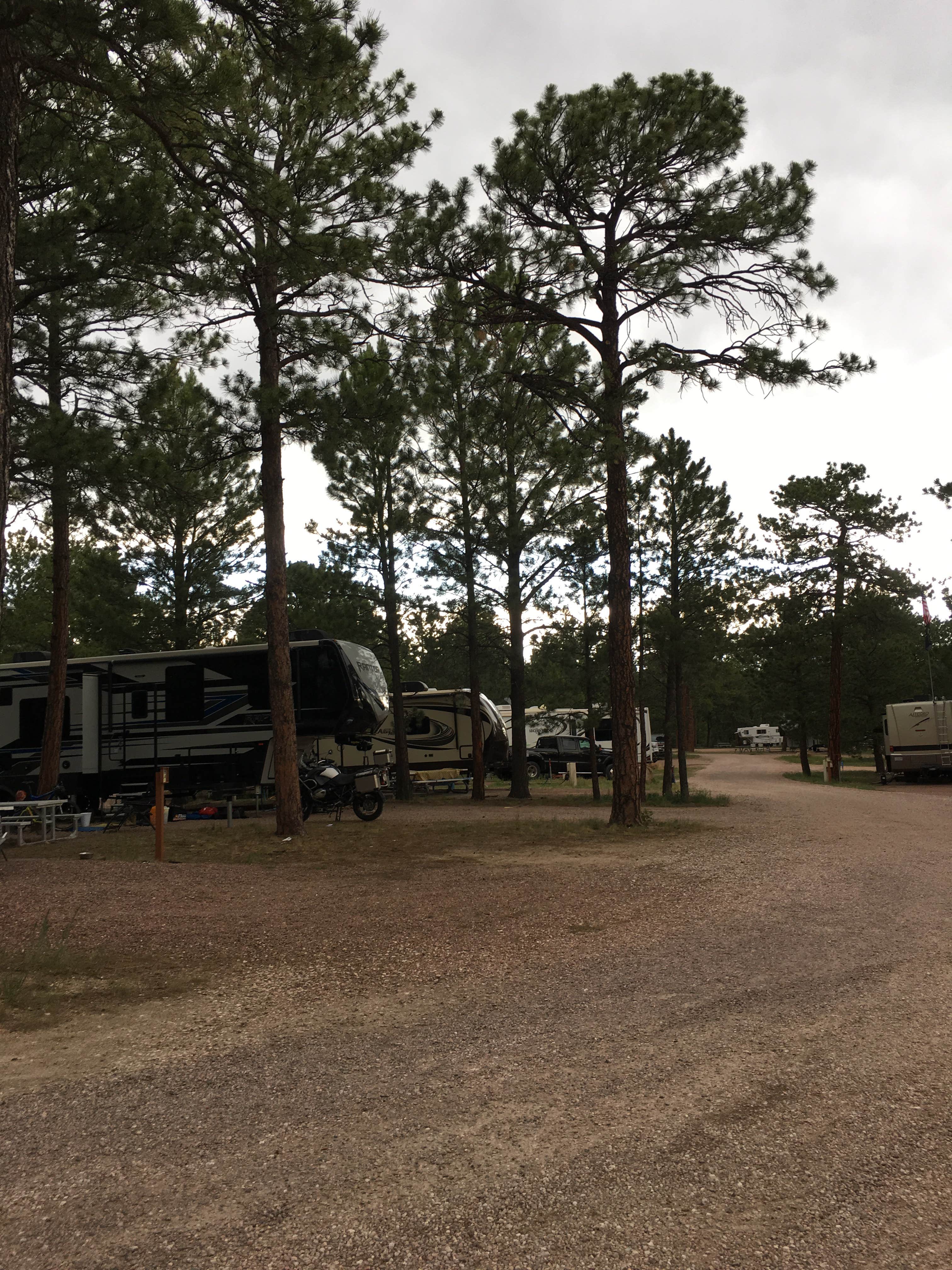 Camper submitted image from Peregrine Pines FamCamp - 4