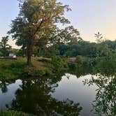 Review photo of Mississippi River State Park Campground by Sean F., July 12, 2019