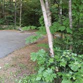 Review photo of Barnes Field Campground by Jean C., July 12, 2019