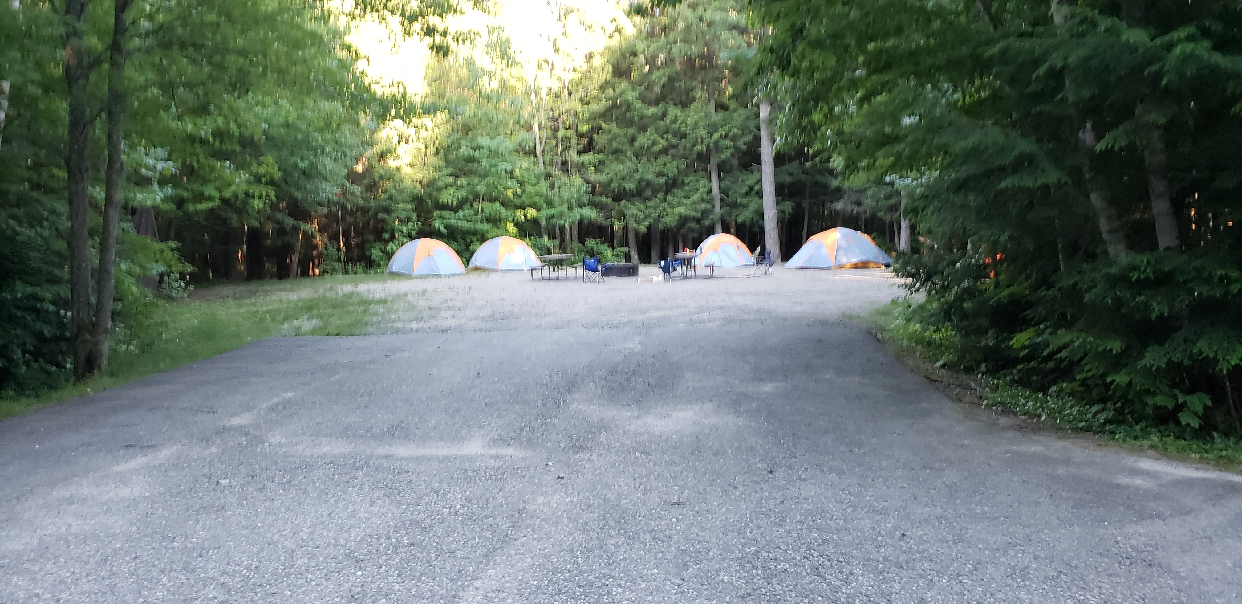 Camper submitted image from Barnes Field Campground - 5