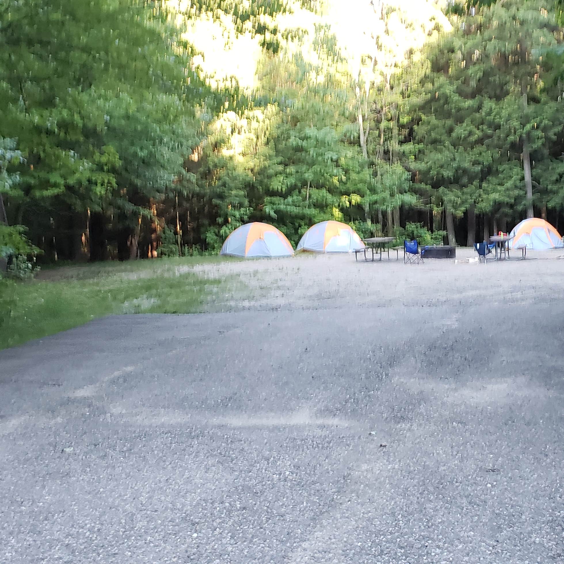 Barnes Field Campground Camping | The Dyrt