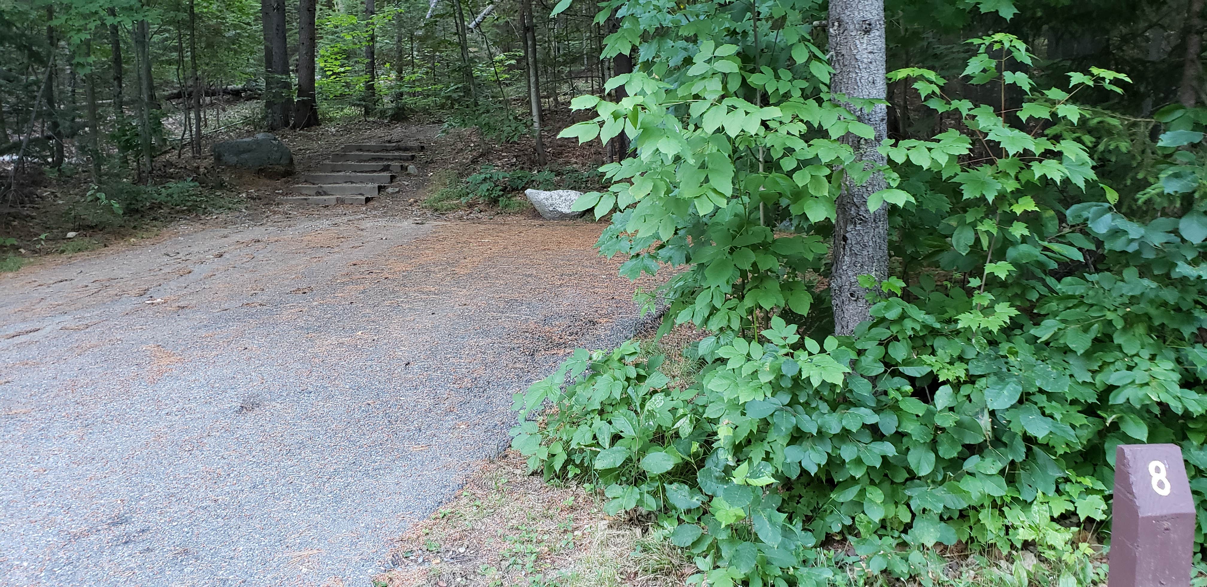 Site 8 has a parking area and then several steps and a path to a more secluded camping area