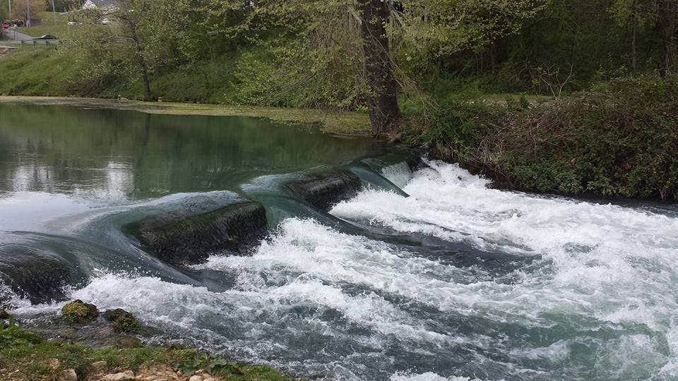 Camper submitted image from Spring River Trout Shop/ Mammoth Spring Campground - 2