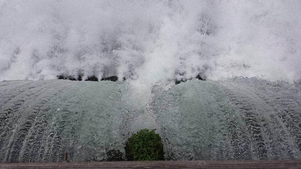 Camper-submitted photo at Spring River Trout Shop/ Mammoth Spring Campground near Alton, MO