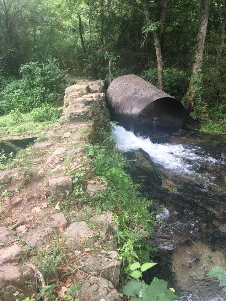 Camper submitted image from Boze Mill Float Camp - 5