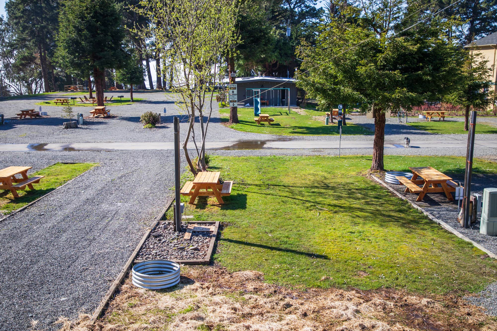 The Dyrt's photo of camping with pets at Camp Trinidad RV Resort near Samoa, CA
