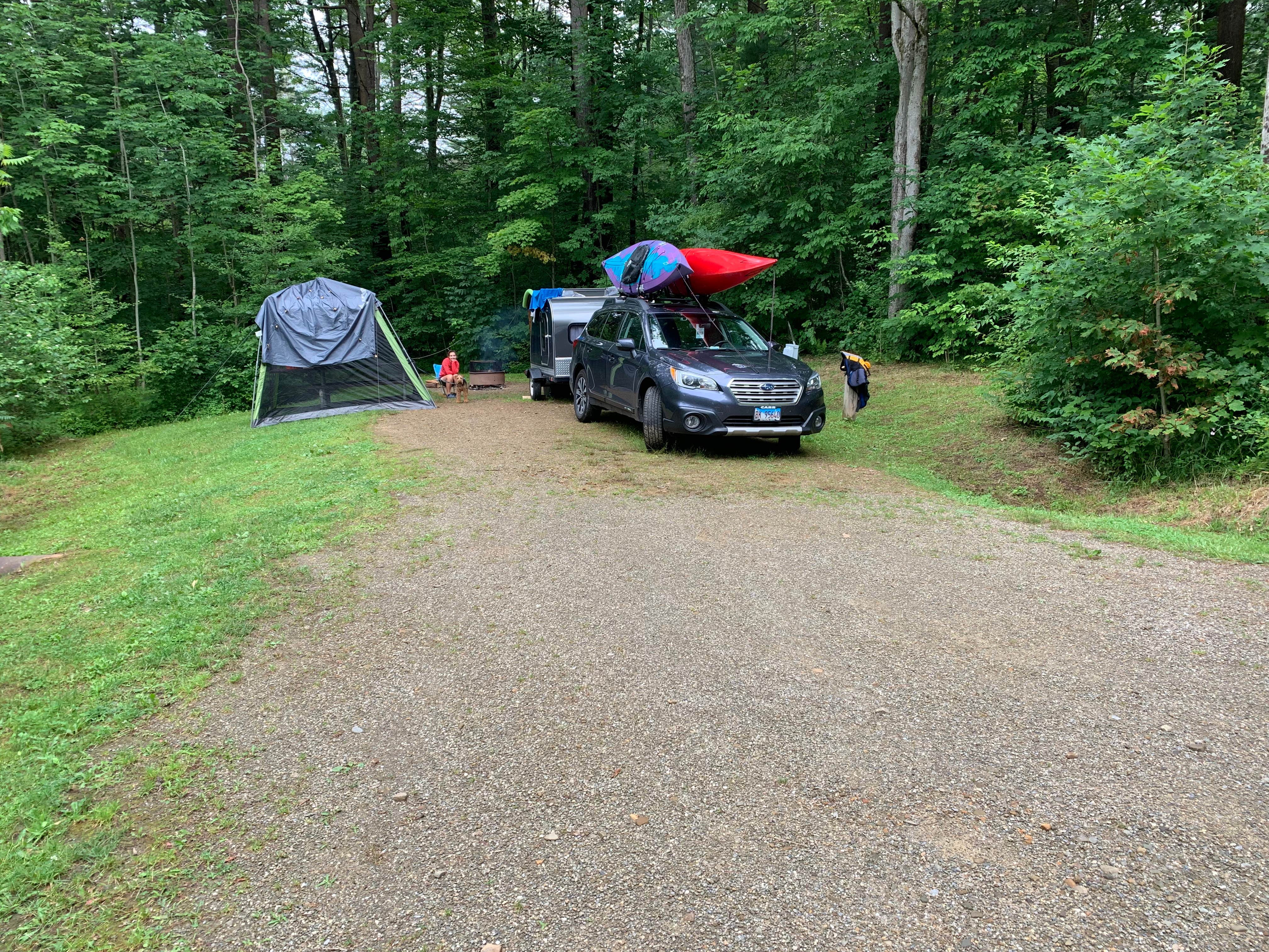 Camper submitted image from Red Bridge Recreation Area - Allegheny National Forest - 3