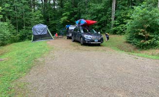Scott M.'s photo at Red Bridge Recreation Area - Allegheny National Forest near Irvine, PA