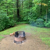 Review photo of Red Bridge Recreation Area - Allegheny National Forest by Scott M., July 12, 2019